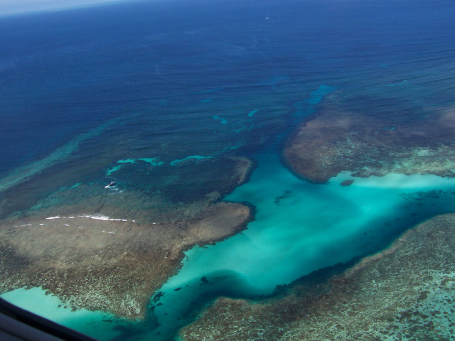 Abrolhos Islands Coral Spawn Event Abrolhos Islands Coral Spawn Event